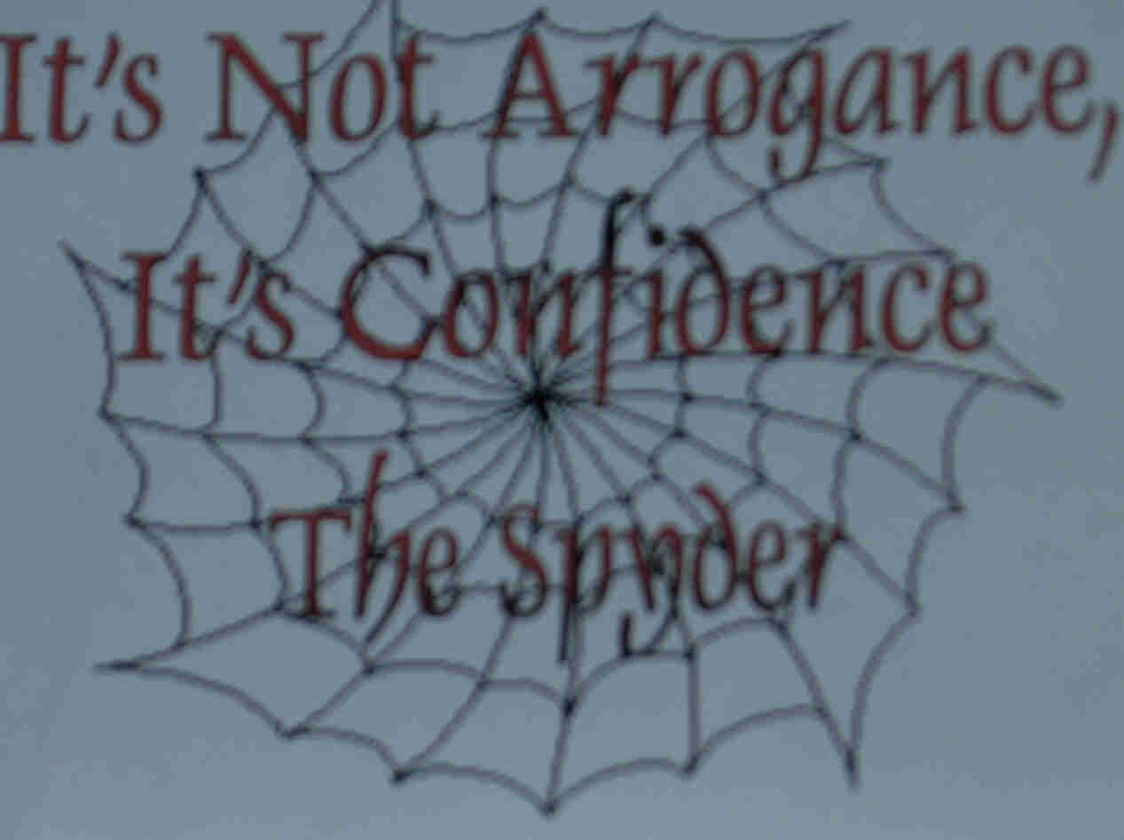 spydershirt.jpg